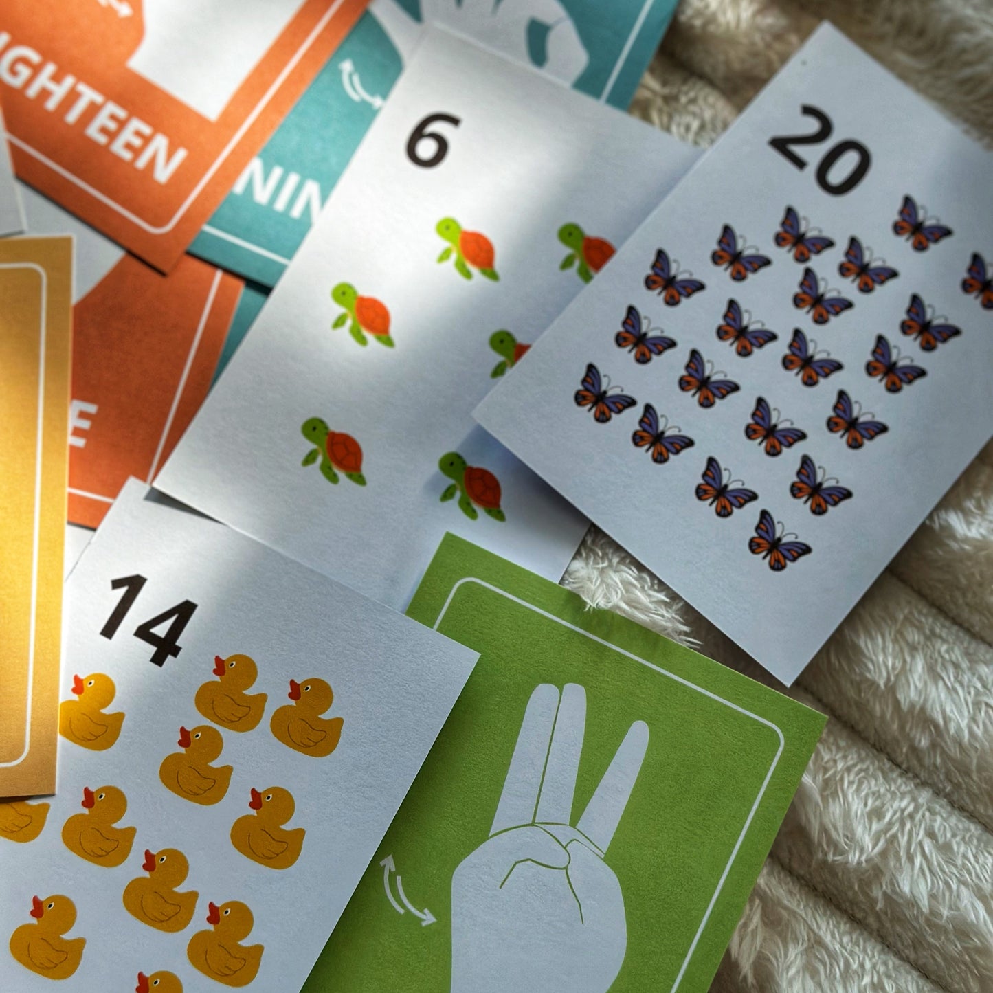 ASL Number & Clipart Flashcards (1-20)